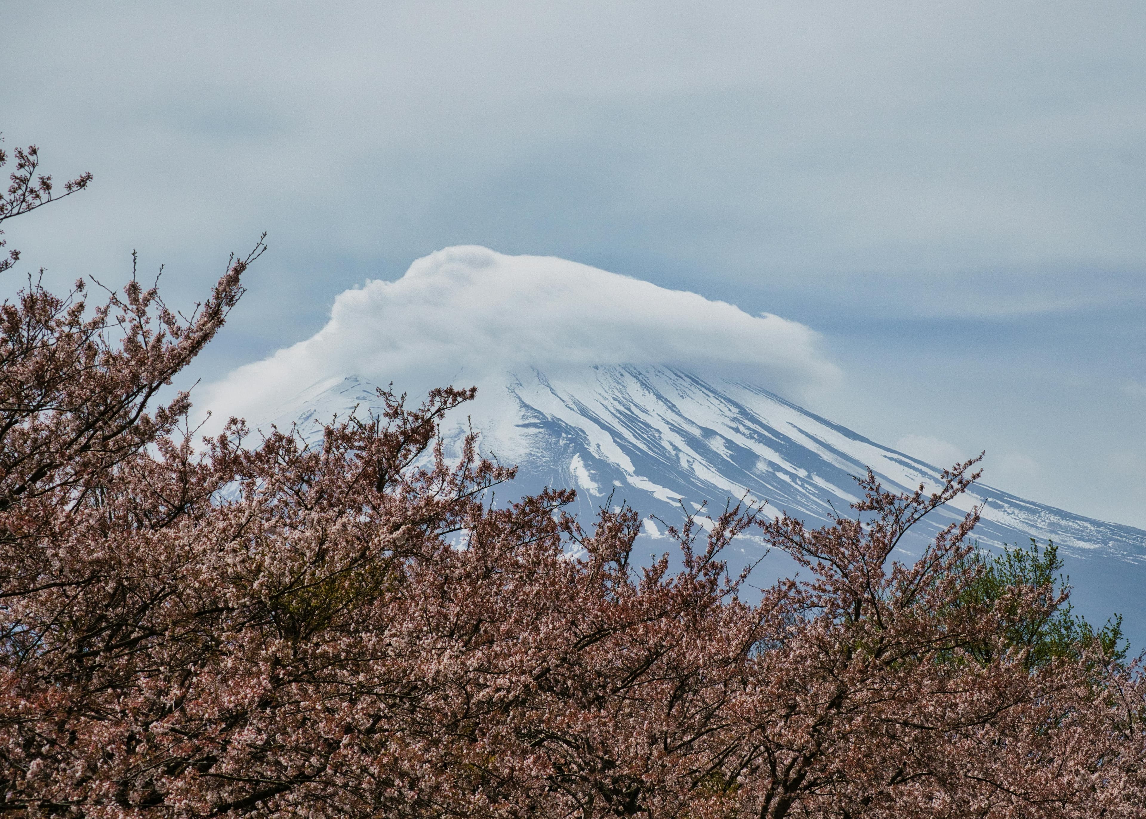 Japan-Reiseroute in 10 Tagen: Tokio, Kyoto, Hakone und Osaka